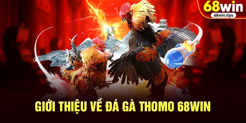 Giới Thiệu Về Đá Gà Thomo 68WIN