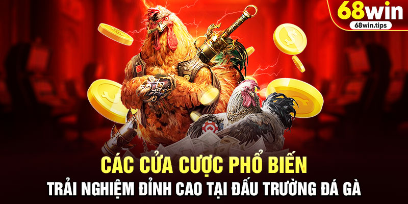 Các Cửa Cược Phổ Biến Tại Đá Gà Thomo 68WIN